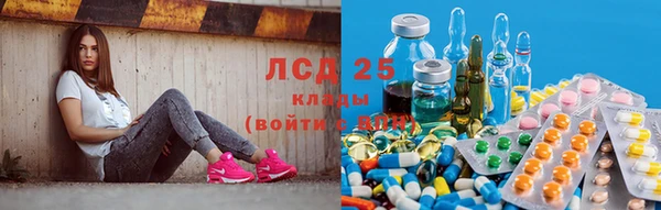 мяу мяу мука Инта