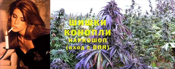 мяу мяу мука Инта