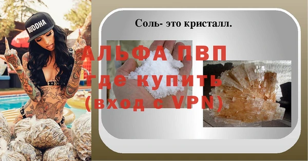 мяу мяу мука Инта