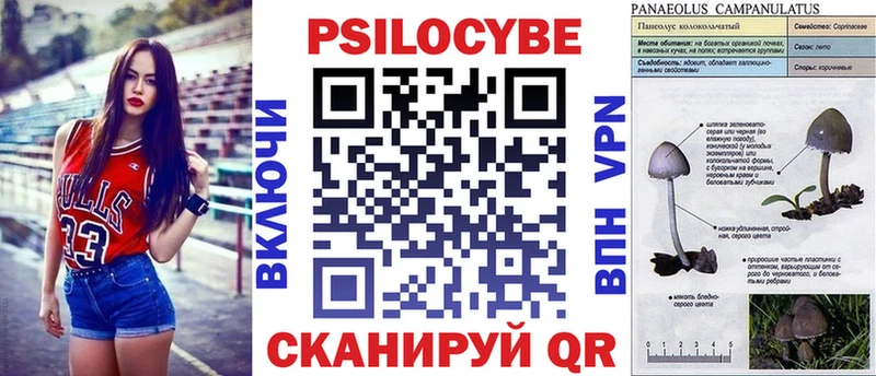 Псилоцибиновые грибы MAGIC MUSHROOMS  Купить закладки  Сегежа 
